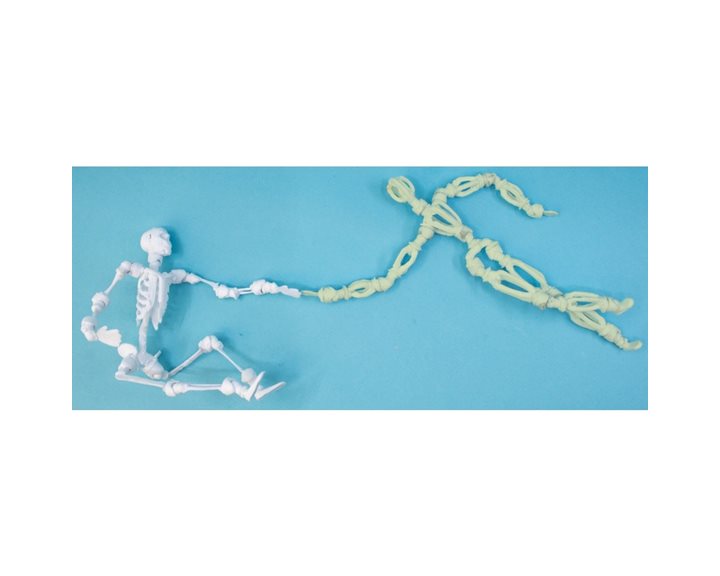 3Doodler Start Figurine Skeleton Activity Kit (Χωρίς Στυλό)