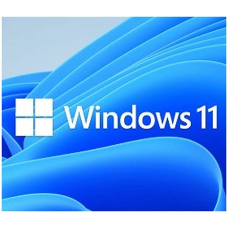 Ms Windows Dsp 11 Home 64-Bit Gr Kw9-00639