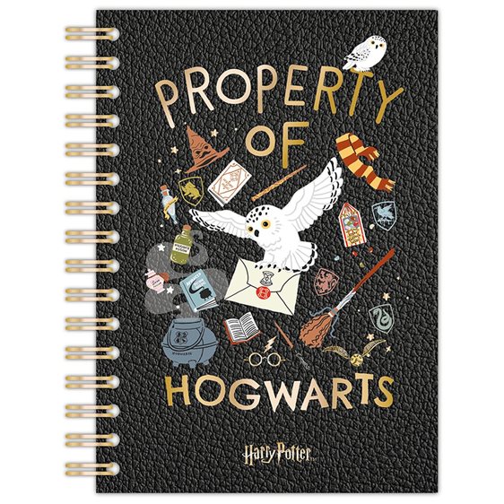 Harry Potter A5 Wiro Notebook - Arts & Craft HP711667