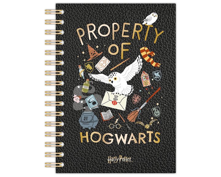 Harry Potter A5 Wiro Notebook - Arts & Craft HP711667