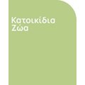 Κατοικίδια Ζώα