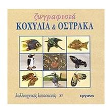 ΚΑΛΛΙΤΕΧΝΙΚΕΣ ΚΑΤΑΣΚΕΥΕΣ 37 ΖΩΓΡΑΦΙΣΤΑ ΚΟΧΥΛΙΑ ΚΑΙ ΟΣΤΡΑΚΑ  Χειροτεχνίες-Κατασκευές Εκπαιδευτικών