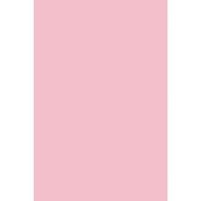 Χαρτόνι canson colorine 50*70 220gr ROSE PETAL  Χαρτόνια