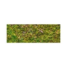 Χαρτόνι Ursus Moss 50x70  Χαρτόνια Με Σχέδια