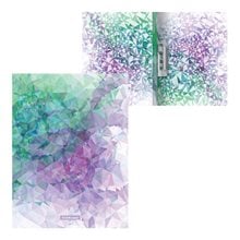 Ντοσιέ ErichKrause PP Α4 Με Πιάστρα Στο Πλάι Violet Dynamique 49380  Ντοσιέ