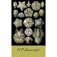 H. P. LOVERCRAFT (ΠΕΜΠΤΟ ΒΙΒΛΙΟ) Ο,ΤΙ ΨΙΘΥΡΙΖΕΙ ΣΤΟ ΣΚΟΤΑΔΙ - Ο ΑΠΑΙΣΙΟΣ ΓΕΡΟΣ  Λογοτεχνία Φαντασίας-Τρόμου