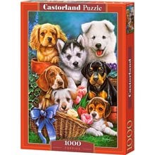 Παζλ Castorland 1000 Τμχ. Puppies C-104048-2  Παζλ Ενηλίκων
