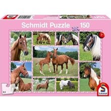 Παζλ Schmidt 150 Τμχ, 432χ291mm Πανέμορφα Άλογα 59269  Παζλ Παιδικά
