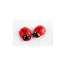 Πασχαλίτσες Ξύλινες 2,5cm 40τεμ. 61541  Υλικά Κατασκευών & DIY