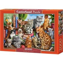 Παζλ Castorland 2000τεμ. House of Cats C-200726-2  Παζλ Ενηλίκων