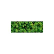 Χαρτόνι Ursus Έλατο 50X68 300gr.  Χαρτόνια Με Σχέδια
