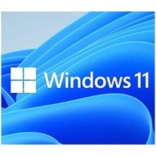 MS WINDOWS DSP 11 PRO 64-BIT GR  Microsoft Windows