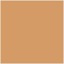 Χαρτόνι canson colorine 50x70 220gr 32 Leather  Χαρτόνια Canson