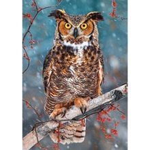 Παζλ Castorland 500 τμχ Great Horned Owl 47x33 B-52387  Παζλ Ενηλίκων