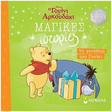 Τα γενέθλια του Γουίνι 61176  Παραμύθια Απλά