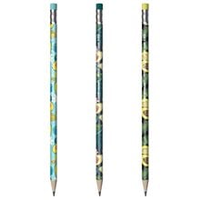 Μολύβι με Γόμα Erichkrause Avocado HB 2.2mm 56008  Μολύβια