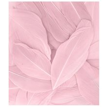 Φτερά 3γρ. 6εκ. Baby Pink  Υλικά Κατασκευών & DIY