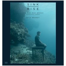 NICK BRANDT VOL. 3: THE DAY MAY BREAK: SINK / RISE HC  Καλές Τέχνες