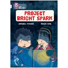 PROJECT BRIGHT SPARK PB  Άλλες Κατηγορίες