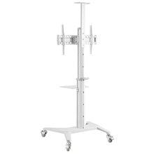 GEMBIRD ALUMINUM TV FLOOR STAND WITH CASTER WHEELS 37'-70' WHITE  Γραφεία