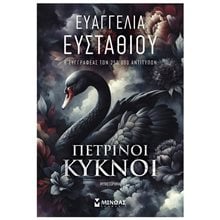 Πέτρινοι κύκνοι 35406 - ΕΚΔΟΣΗ 2024  Σύγχρονη Ελληνική Λογοτεχνία
