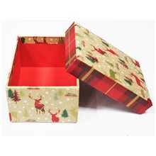 Κουτάκι 8.5χ11.5χ5.8εκ Xmas Tray  Κουτιά Δώρου