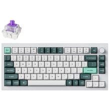Keychron Q1 HE (Q1H-P1) QMK White Wireless Custom Hall Effect Keyboard Purple Switch 75% US Layout  Gaming Πληκτρολόγια