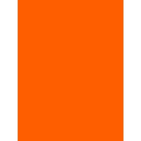 Χαρτόνι Canson Colorine 50x70 220gr Orange