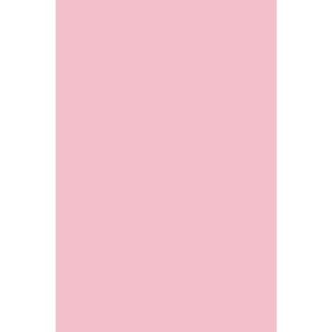 Χαρτόνι canson colorine 50*70 220gr ROSE PETAL