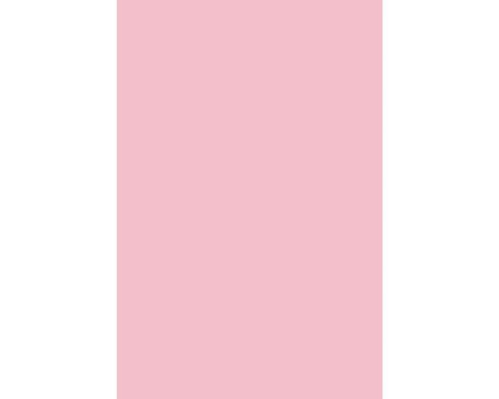 Χαρτόνι canson colorine 50*70 220gr ROSE PETAL