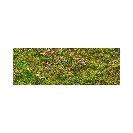 Χαρτόνι Ursus Moss 50x70