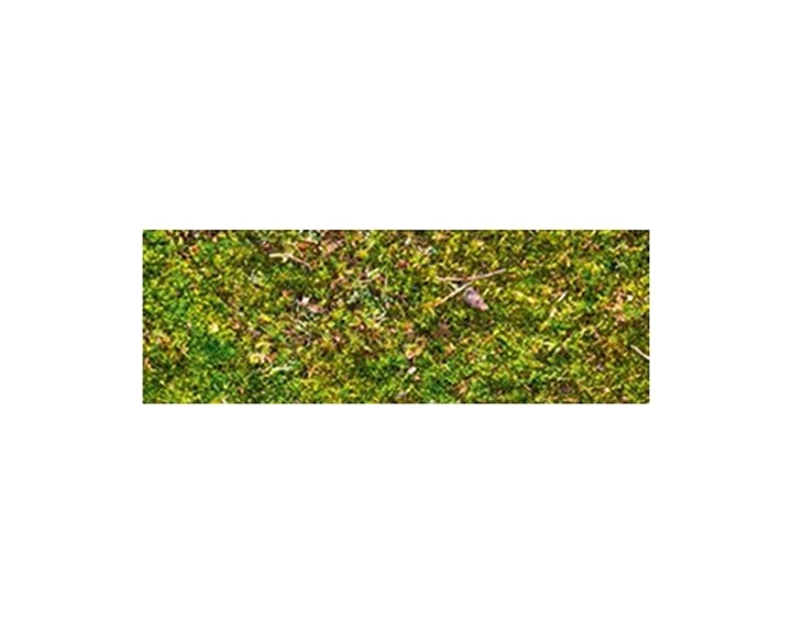 Χαρτόνι Ursus Moss 50x70