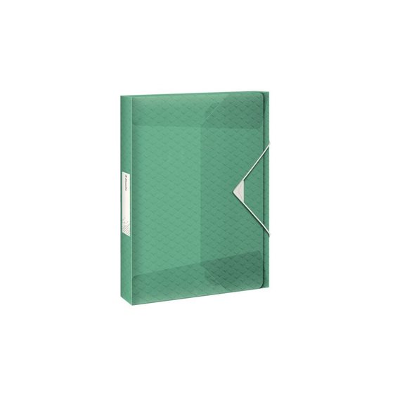 Κουτί Esselte A4 PP Colour' Breeze 25mm με λάστιχο 626258 Green