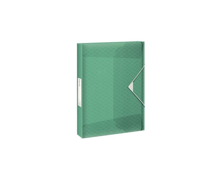 Κουτί Esselte A4 PP Colour' Breeze 25mm με λάστιχο 626258 Green