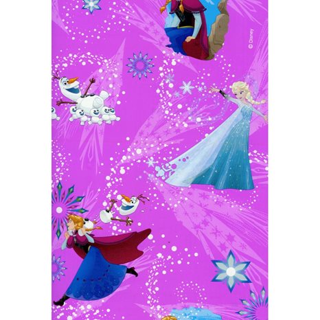 Χαρτί Περιτυλίγματος 70x100cm Walt Disney No618B
