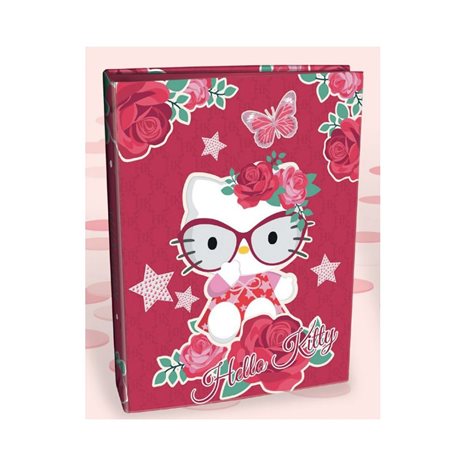 Κλασέρ Graffiti Hello Kitty 17x25 19809