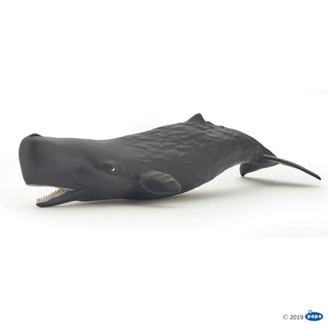 Φιγούρα Papo Sperm Whale Calf 56045