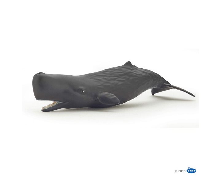 Φιγούρα Papo Sperm Whale Calf 56045
