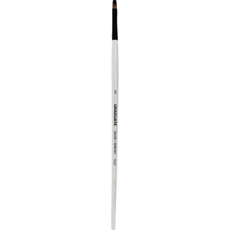 Πινέλο Graduate Daler Rowney Synthetic Bright Long Handle No.6 212160006