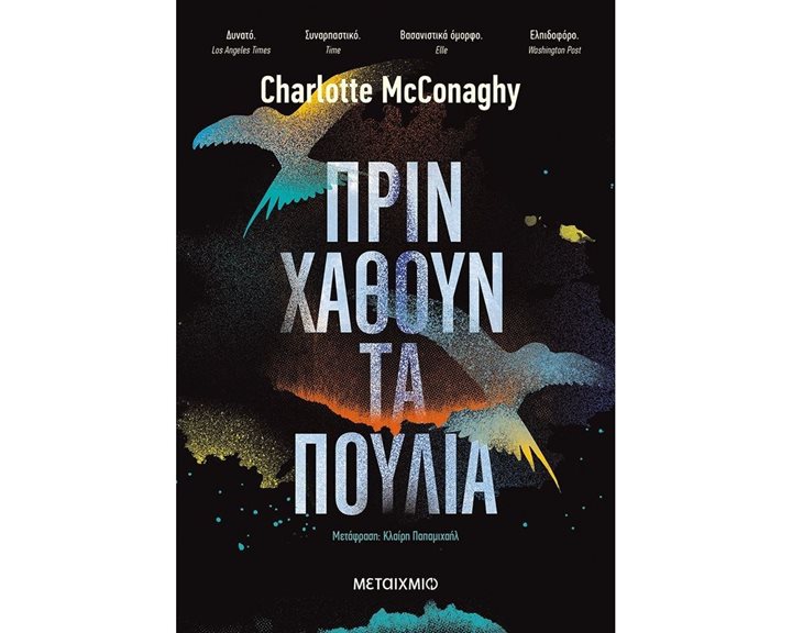 ΠΡΙΝ ΧΑΘΟΥΝ ΤΑ ΠΟΥΛΙΑ , 82067