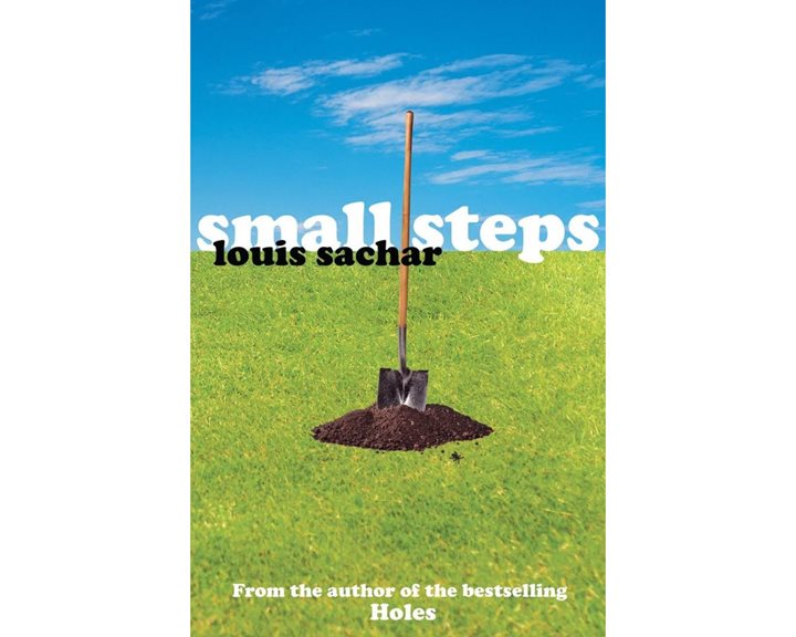 SMALL STEPS