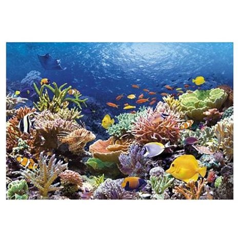Παζλ Castorland Coral Reef 68Χ47cm 27Χ18.5 In 1000τεμ.