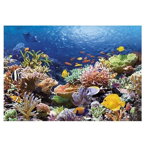 Παζλ Castorland Coral Reef 68Χ47cm 27Χ18.5 In 1000τεμ.