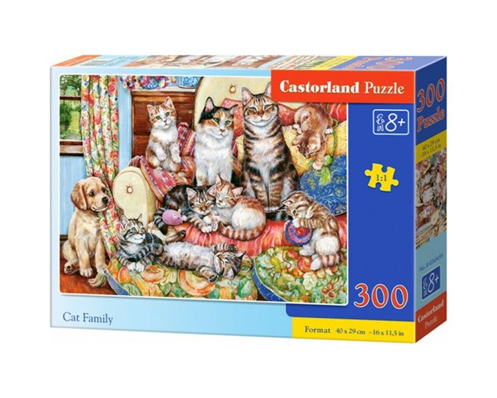 Πάζλ Castorland 300τμχ Cat Family B-030439