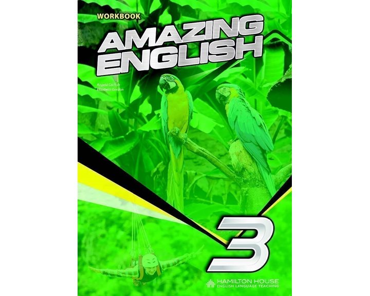 Amazing English 3 Wb