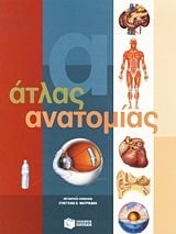 Άτλας ανατομίας 04021