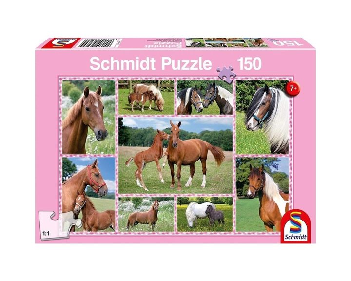 Παζλ Schmidt 150 Τμχ, 432χ291mm Πανέμορφα Άλογα 59269