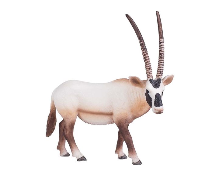 Animal Planet-Όρυξ-XL
