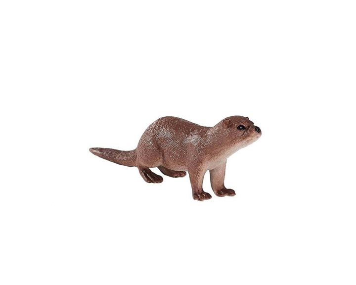 Animal Planet-Βίδρα-Medium