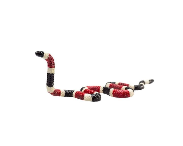 Animal Planet - Κοραλόφιδο - Medium Coral Snake